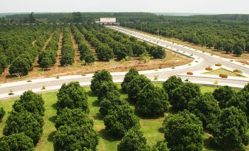 Vinamit: Từ nông trại hữu cơ đến chuỗi giá trị chế biến nông sản