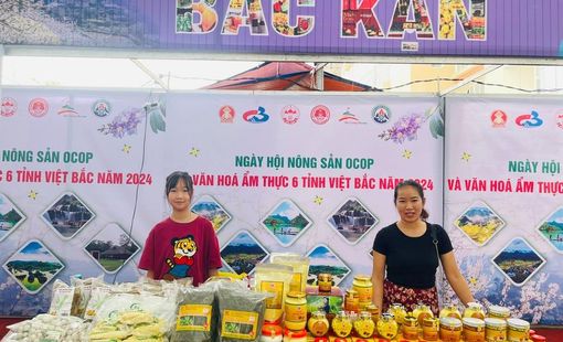 Bắc Kạn và hành trình nâng tầm đặc sản OCOP 5 sao: Từ sợi miến dong truyền thống đến sản phẩm công nghệ cao từ Nano Curcumin