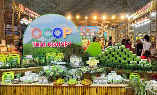 Thái Nguyên khẳng định vị thế với 6 sản phẩm OCOP 5 sao quốc gia: Từ đặc sản trà danh tiếng đến điểm du lịch cộng đồng độc đáo