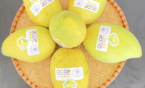 Nâng tầm đặc sản địa phương, TP.HCM công nhận thêm 14 sản phẩm OCOP