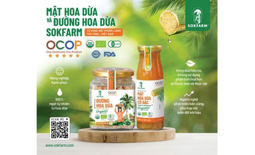 Người trẻ trở về quê khởi nghiệp: Từ khát vọng quê hương đến những mô hình kinh tế đầy triển vọng