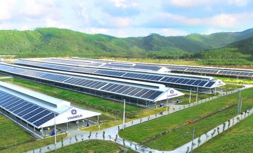 Điện mặt trời cho sản xuất nông nghiệp: Giải pháp xanh mở đường cho nông nghiệp bền vững