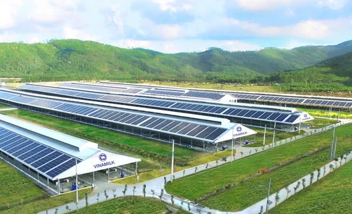 Điện mặt trời cho sản xuất nông nghiệp: Giải pháp xanh mở đường cho nông nghiệp bền vững