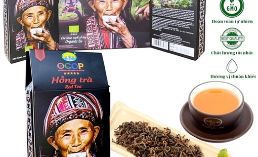 Xây dựng thương hiệu từ chè Shan tuyết cổ thụ, Hợp tác xã Chế biến chè Phìn Hồ nâng tầm đặc sản vùng cao