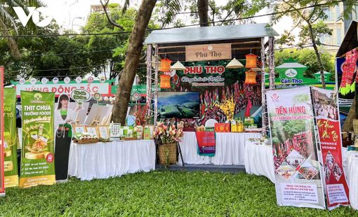 Phú Thọ và những sản phẩm OCOP 5 sao quốc gia: Khi tinh hoa đất Tổ được nâng tầm thương hiệu