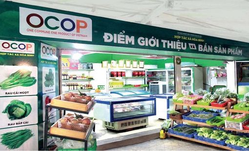 OCOP 5 sao Hà Nội: Khi tinh hoa làng nghề và nông sản Thủ đô khẳng định vị thế quốc gia