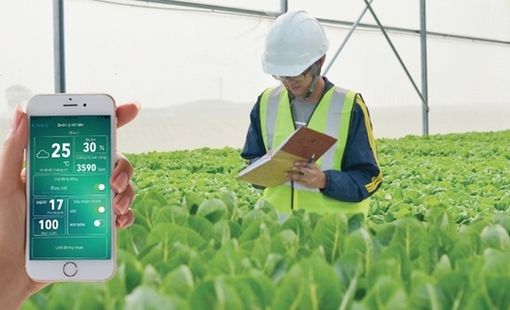 Nông nghiệp thông minh: Khi tự động hóa định hình tương lai sản xuất