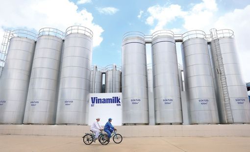 Vinamilk lan tỏa thực hành giảm phát thải, thúc đẩy chuyển đổi xanh ngành sữa