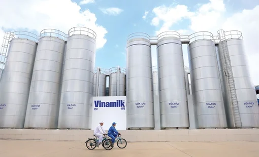 Vinamilk lan tỏa thực hành giảm phát thải, thúc đẩy chuyển đổi xanh ngành sữa