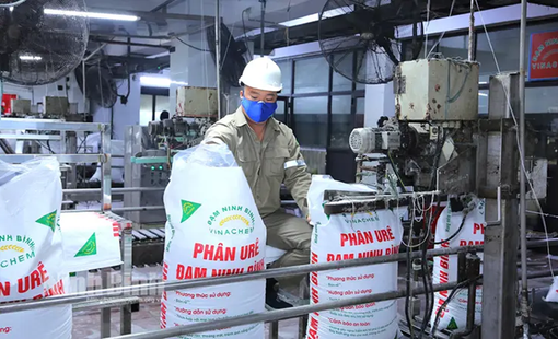 Đạm Ninh Bình nâng cao chất lượng sản phẩm, mở rộng thị trường trong và ngoài nước