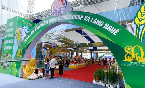 OCOP Hải Phòng: 8 sản phẩm đạt chuẩn 5 sao cấp quốc gia
