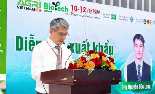 Chuỗi giá trị nông sản Việt Nam: Chìa khóa nâng tầm xuất khẩu bền vững