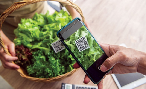 Mã QR trên nông sản: Xu hướng tất yếu trong minh bạch hóa và chuyển đổi số nông nghiệp Việt Nam