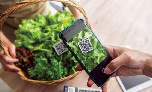Mã QR trên nông sản: Xu hướng tất yếu trong minh bạch hóa và chuyển đổi số nông nghiệp Việt Nam