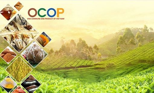 [Infographic] Bộ tiêu chí và quy trình đánh giá, phân hạng sản phẩm OCOP