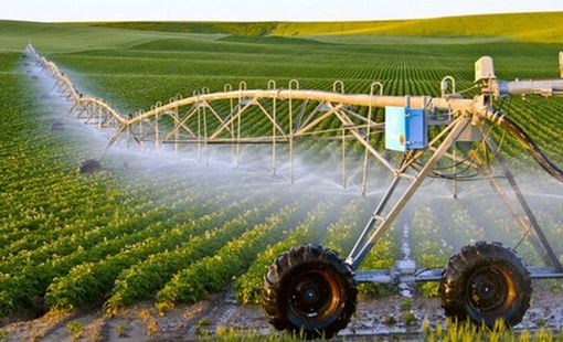 Công nghệ cao thúc đẩy chuyển đổi số trong nông nghiệp Việt Nam