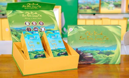 HTX Sản xuất chè an toàn xã Long Cốc: Hướng đi bền vững cho thương hiệu chè Phú Thọ