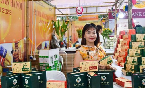HTX Tâm Ngọc: Nơi đất hoang nở hoa, nơi nghịch cảnh hóa thành sinh kế