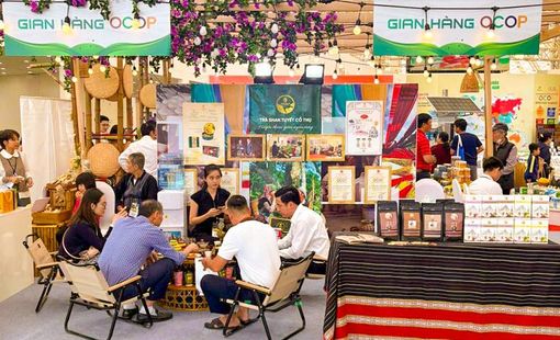 OCOP 5 sao có gì đặc biệt khiến nhiều doanh nghiệp buộc phải nâng chuẩn sản xuất?