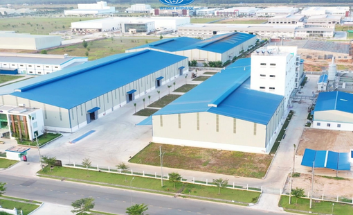 Xuất khẩu nông sản sang EU: Khi chuỗi giá trị Việt phải “đi qua cửa hẹp” tiêu chuẩn quốc tế