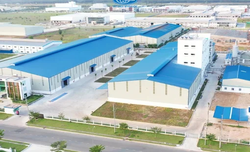 Xuất khẩu nông sản sang EU: Khi chuỗi giá trị Việt phải “đi qua cửa hẹp” tiêu chuẩn quốc tế