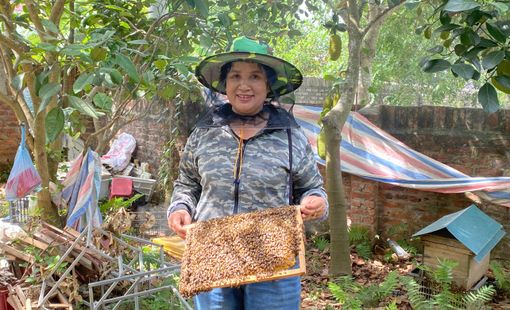 Mật ong hoa rừng cô Nụ khẳng định thương hiệu OCOP địa phương