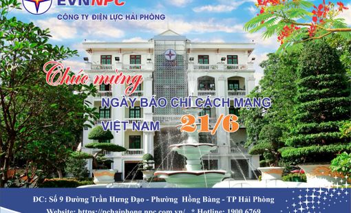 CÔNG TY ĐIỆN LỰC HẢI PHÒNG