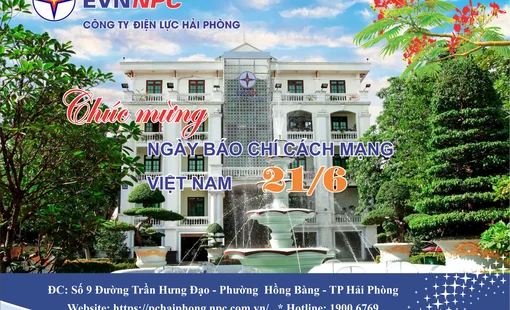 CÔNG TY ĐIỆN LỰC HẢI PHÒNG