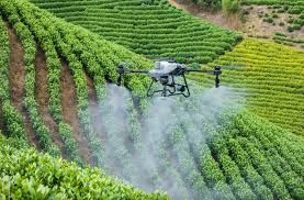 Phát triển nông nghiệp công nghệ cao: Động lực tạo đột phá cho nền nông nghiệp Việt Nam