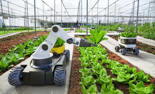 Robot hóa trong sản xuất nông nghiệp hiện đại: Khi cánh đồng bước vào kỷ nguyên tự động hóa