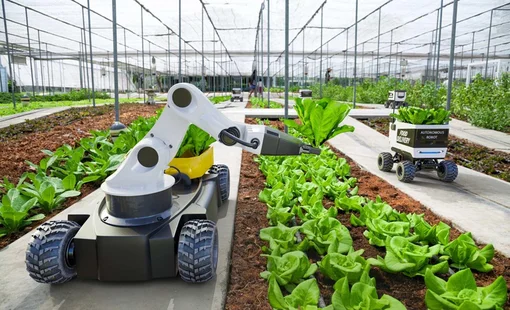 Robot hóa trong sản xuất nông nghiệp hiện đại: Khi cánh đồng bước vào kỷ nguyên tự động hóa