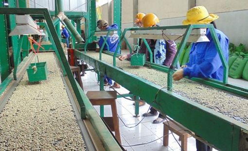 Công nghiệp nông thôn bước vào giai đoạn mới khi Chương trình khuyến công 2026-2030 khởi động