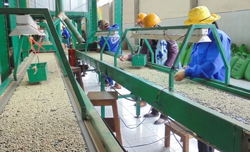 Công nghiệp nông thôn bước vào giai đoạn mới khi Chương trình khuyến công 2026-2030 khởi động