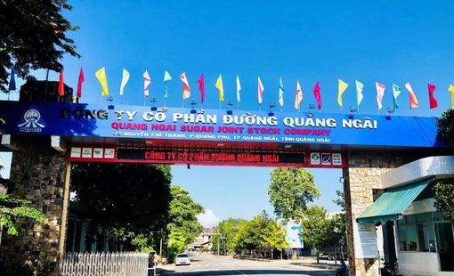 Từ bã mía đến năng lượng sinh khối: Cách Đường Quảng Ngãi giảm phát thải carbon