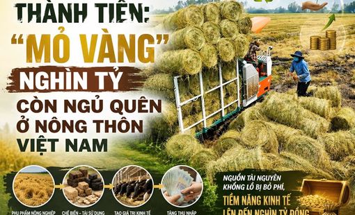 Biến phụ phẩm thành tiền: "Mỏ vàng" nghìn tỷ còn ngủ quên ở nông thôn Việt Nam