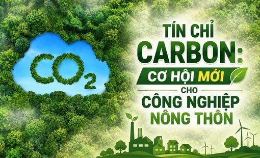 Tín chỉ Carbon: Cơ hội mới cho doanh nghiệp công nghiệp nông thôn