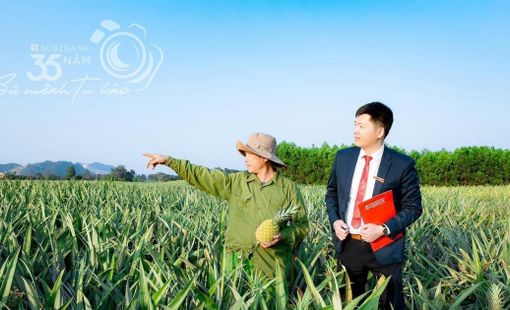Agribank Thanh Hóa đồng hành cùng người dân phát triển nông nghiệp công nghệ cao và sản phẩm OCOP