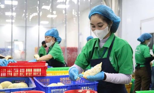 Xu hướng xuất khẩu nông sản chế biến 6 tháng đầu năm: Từ “bán nguyên liệu” sang cuộc đua giá trị gia tăng