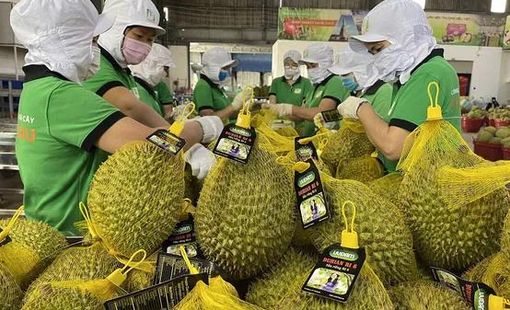 Hệ thống truy xuất nguồn gốc nông sản đã phủ sóng 26/34 tỉnh, thành; mở rộng nhiều ngành hàng chủ lực từ tháng 7/2026
