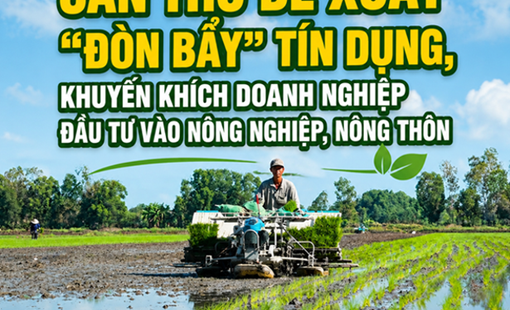 Cần Thơ đề xuất "đòn bẩy" tín dụng, khuyến khích doanh nghiệp đầu tư vào nông nghiệp, nông thôn