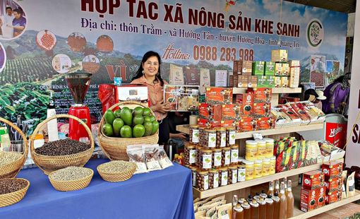 Quảng Trị có 61 sản phẩm đăng ký tham gia bình chọn công nghiệp nông thôn tiêu biểu năm 2026