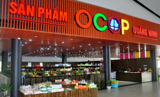 Lấy công nghệ làm đòn bẩy, Quảng Ninh nâng tầm sản phẩm OCOP