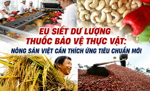 EU siết dư lượng thuốc bảo vệ thực vật: Nông sản Việt cần thích ứng tiêu chuẩn mới