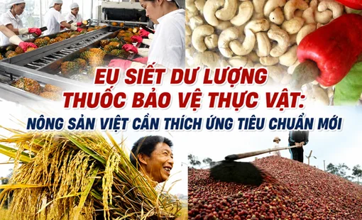 EU siết dư lượng thuốc bảo vệ thực vật: Nông sản Việt cần thích ứng tiêu chuẩn mới