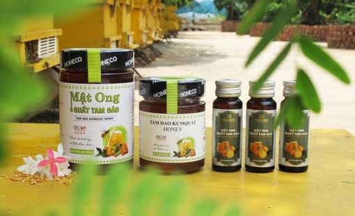 Doanh nghiệp nông thôn đang thay đổi cách làm OCOP như thế nào?