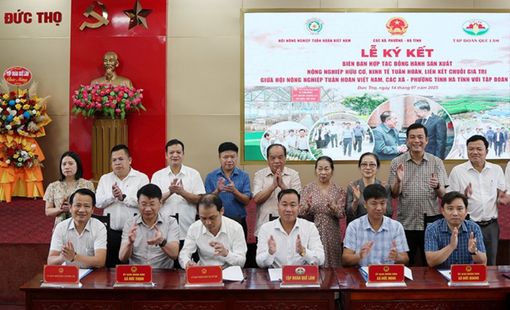 Tập đoàn Quế Lâm: Đẩy mạnh liên kết sản xuất nông nghiệp hữu cơ, tuần hoàn tại Hà Tĩnh