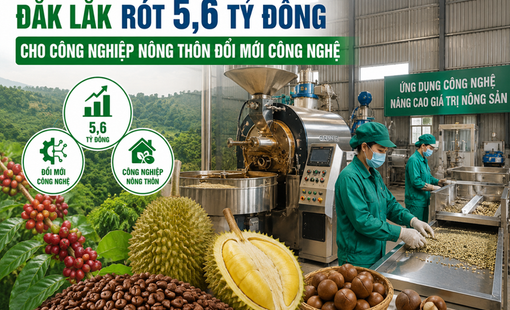 Đắk Lắk rót 5,6 tỷ đồng cho công nghiệp nông thôn đổi mới công nghệ