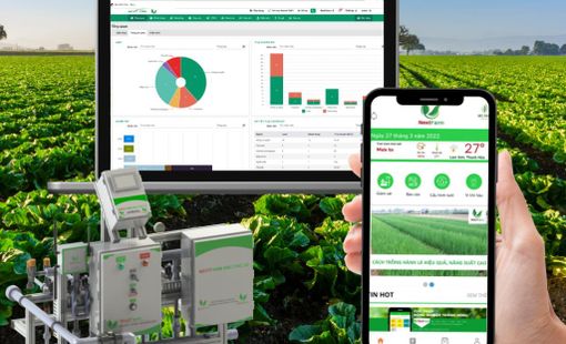 Đồng bộ dữ liệu gốc – Chìa khóa hiện đại hóa quản lý an toàn thực phẩm