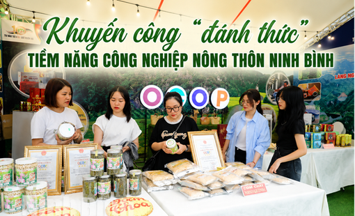 Khuyến công "đánh thức" tiềm năng công nghiệp nông thôn Ninh Bình