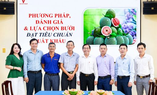 Vina T&T Group đồng hàng cùng Trị An phát triển chuỗi giá trị bưởi xuất khẩu